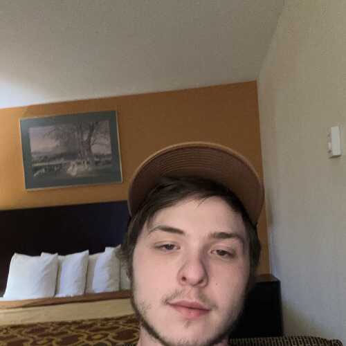 Treybird