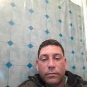 Geycel80