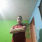 alex3553