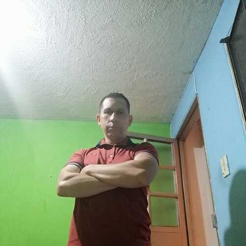 alex3553