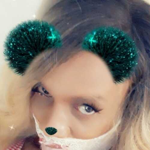 tabby508