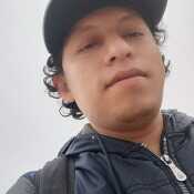 dtodo