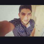 theowal261