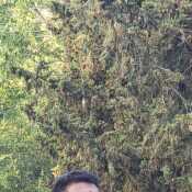 Ibarracrist664