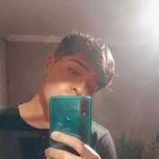 Bicho