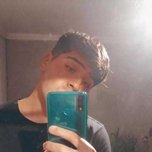 Bicho