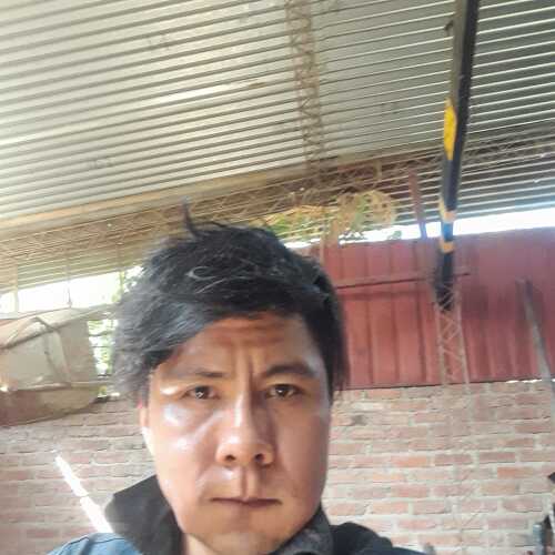 grovertcace674
