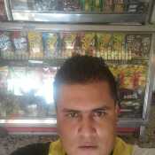 fer294