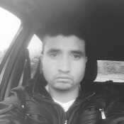 a81alan