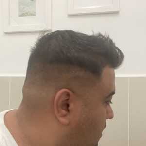 EngagingSeekerhabif