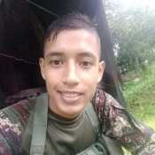 vergel22