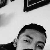 cris511