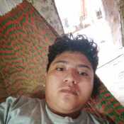 quieluicab216