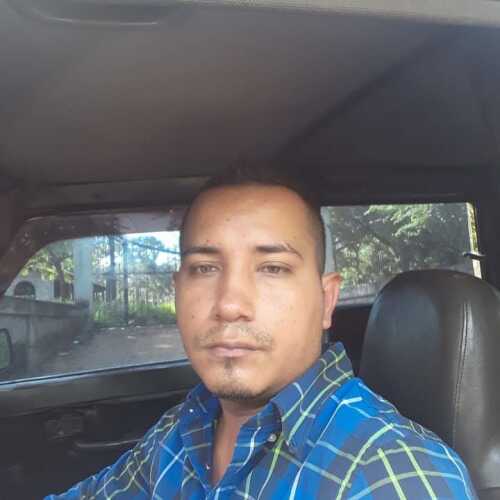 Gatoluis