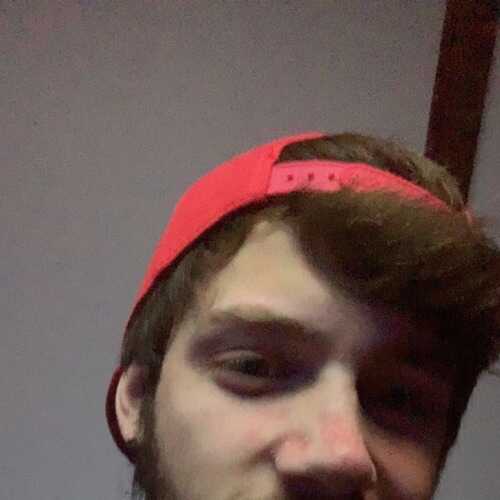 Bustme83