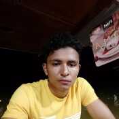 elale453