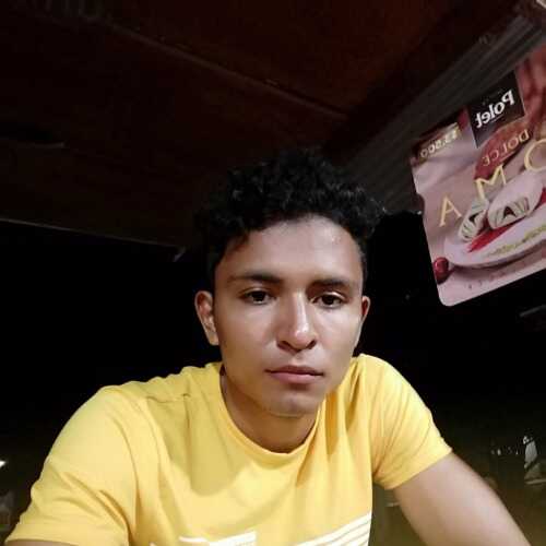 elale453