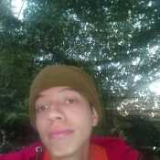 robinalexande423