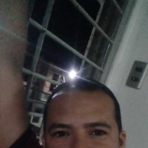 alber539