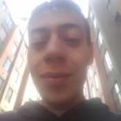 keviinrolo