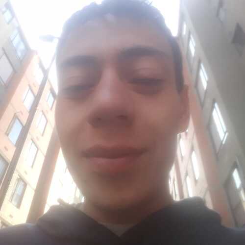 keviinrolo