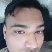 palaibibekkish250