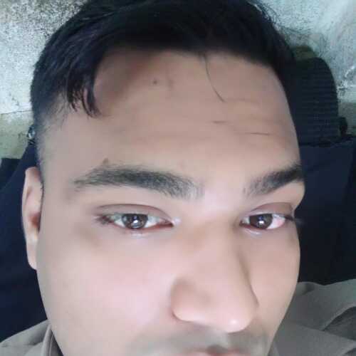 palaibibekkish250