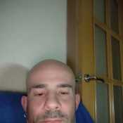 fern230