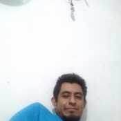 diimascin561