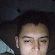 teoelme146