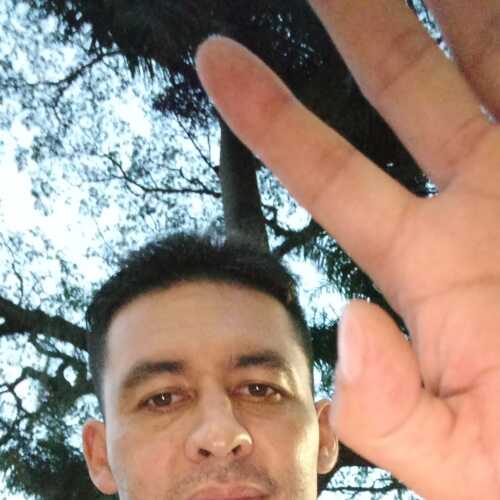 Wiltomas2020Co