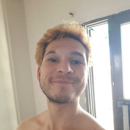 chanchoYcachorro