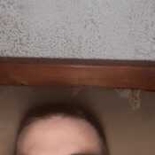 bebe 