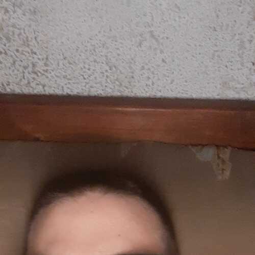 bebe 