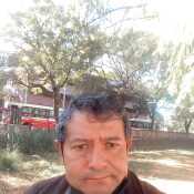 lucsor353