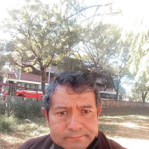 lucsor353