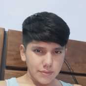 alvy331