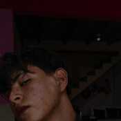 david102