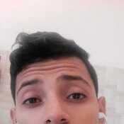 Pollo12k