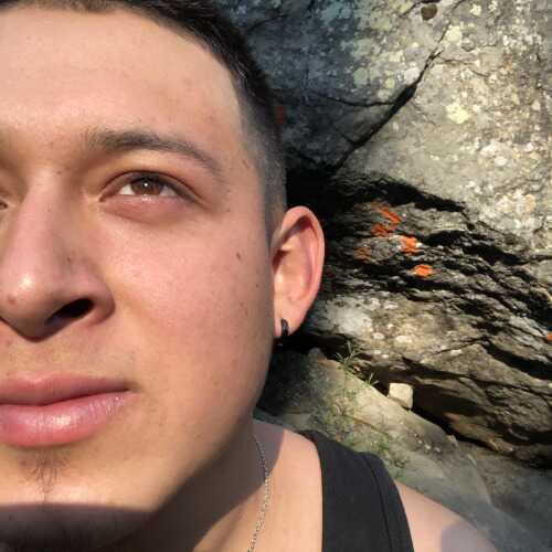 Alfredo266