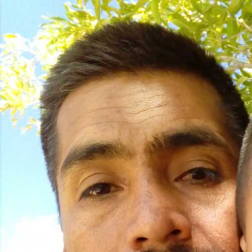 Javier2981