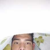 perrosedie794