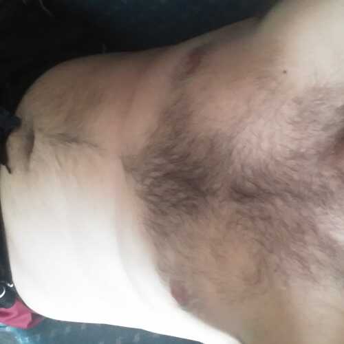 Hairyboytoy