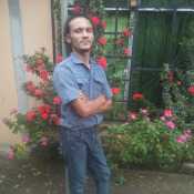 Morales507