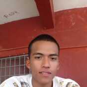 Dalvi21