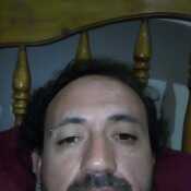 pandoell239