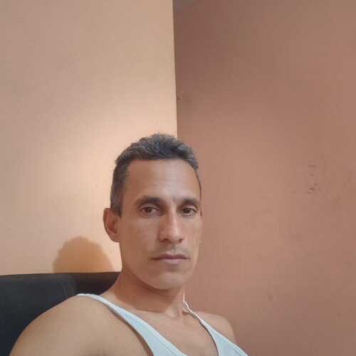 policopl773