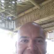 Trinoed