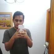 paucardavid646
