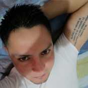 Galeer